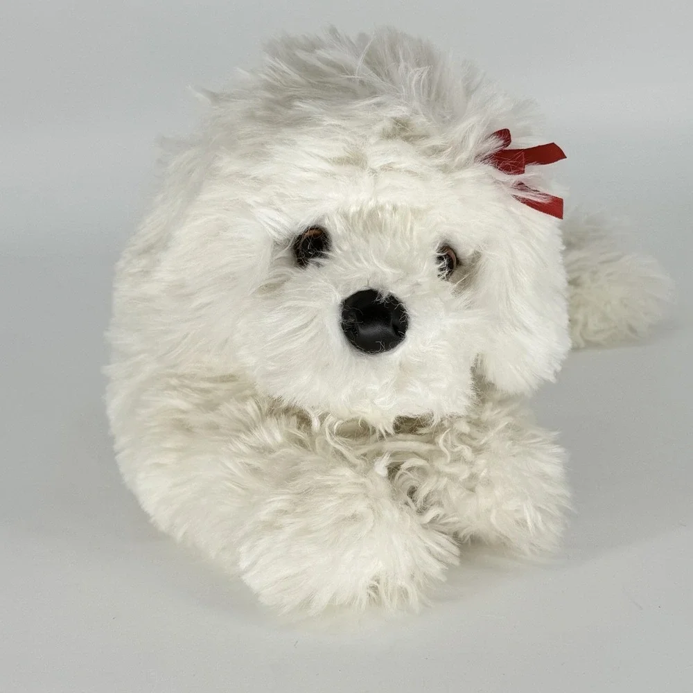 Douglas Marcelle Bichon Frise 22